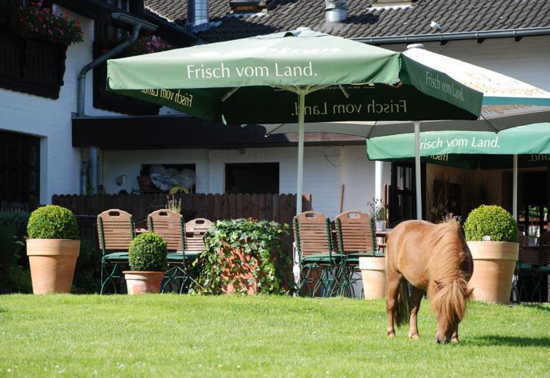 Landhotel Linden Am Venekotensee Niederkruechten Exterior photo